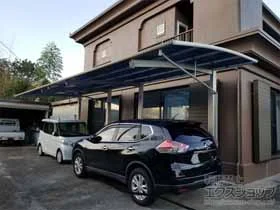 YKKAP�̃J�[�|�[�g �A�����[�XRE �c�A�� �O������ϐ�`20cm�Ή� �{�H��