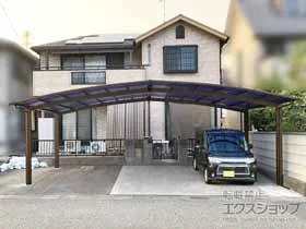 YKKAP�̃J�[�|�[�g �A�����[�X �g���v���@�ϐ�`20cm�Ή� �{�H��