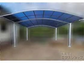 YKKAP�̃J�[�|�[�g �A�����[�X �c�C���@�ϐ�`20cm�Ή� �{�H��