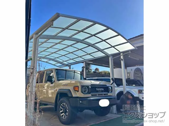 YKKAP�̃J�[�|�[�g �A�����[�X 600�^�C�v 2��p �ϐ�`20cm�Ή��{������������ �{�H��