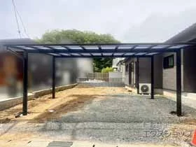 LIXIL(���N�V��)�̃J�[�|�[�g �l�X�JF (�t���b�g�X�^�C��) ���C�h �ϐ�`20cm�Ή� �{�H��