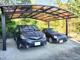 YKKAP�̃J�[�|�[�g �A�����[�XZ M���� �ϐ�`25cm�Ή� �{�H��