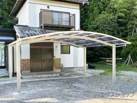 YKKAP�̃J�[�|�[�g �A�����[�X �c�C���@�ϐ�`20cm�Ή� �{�H��