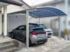 YKKAP�̃J�[�|�[�g �A�����[�X 600�^�C�v 2��p �ϐ�`20cm�Ή� �{�H��