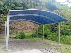 YKKAP�̃J�[�|�[�g �A�����[�X 600�^�C�v 2��p �ϐ�`20cm�Ή� �{�H��