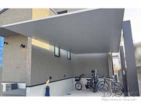 LIXIL(���N�V��)�̃J�[�|�[�g �J�[�|�[�gSC �ϐ�`20cm�Ή��{���E���T�|�[�g �{�H��