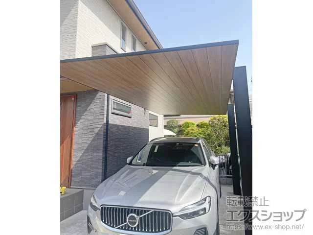 LIXIL(���N�V��)�̃J�[�|�[�g �J�[�|�[�gSC �����F �ϐ�`20cm�Ή� �{�H��