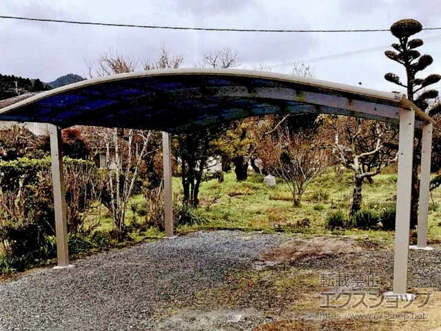 Value Select�̃J�[�|�[�g �v���V�I�X�|�[�g �A�[���^ 2��p �ϐ�`20cm�Ή� �{�H��