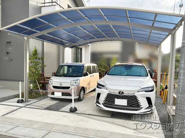 YKKAP�̃J�[�|�[�g �A�����[�X 600�^�C�v 2��p �ϐ�`20cm�Ή� �{�H��