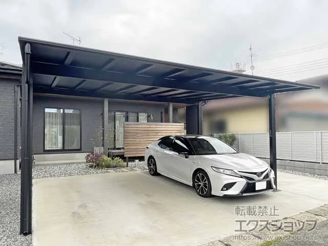 YKKAP�̃J�[�|�[�g �G�t���[�W�� FIRST 600�^�C�v 2��p �ϐ�`20cm�Ή� �{�H��