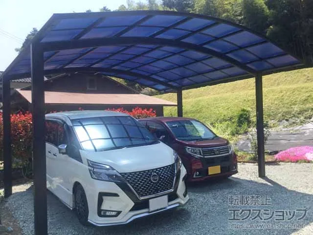 YKKAP�̃J�[�|�[�g �A�����[�X 600�^�C�v 2��p �ϐ�`20cm�Ή� �{�H��