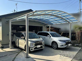 YKKAP�̃J�[�|�[�g �A�����[�X 600�^�C�v 2��p �ϐ�`20cm�Ή� �{�H��