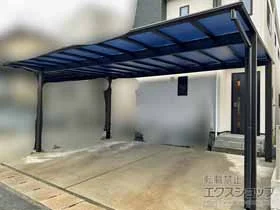 YKKAP�̃J�[�|�[�g �G�t���[�W�� FIRST 600�^�C�v 2��p �ϐ�`20cm�Ή� �{�H��