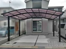 YKKAP�̃J�[�|�[�g �A�����[�X 600�^�C�v 2��p �ϐ�`20cm�Ή� �{�H��