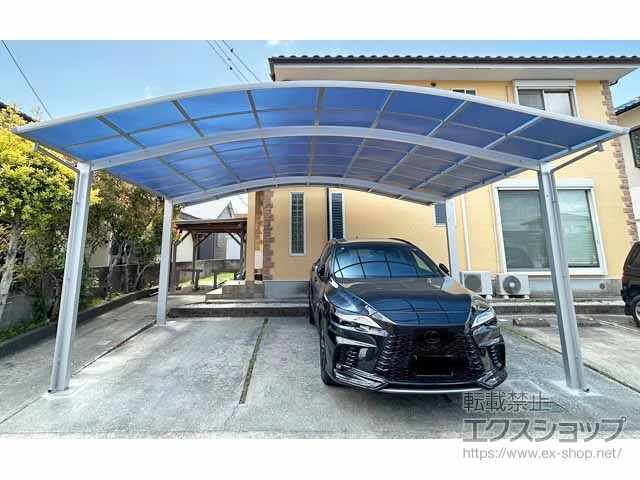 YKKAP�̃J�[�|�[�g �A�����[�X 600�^�C�v 2��p �ϐ�`20cm�Ή� �{�H��