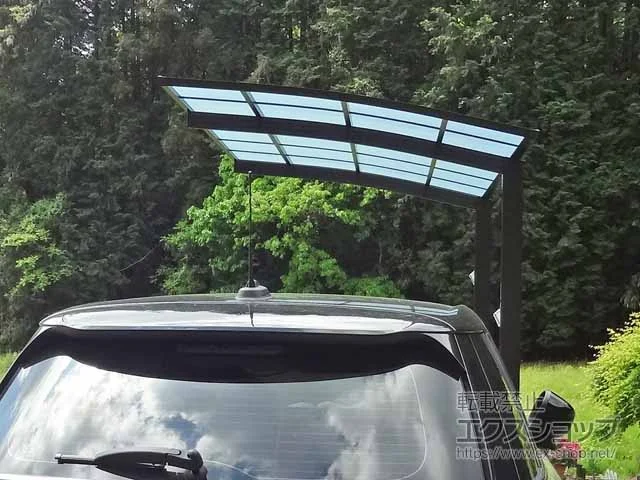 YKKAP�̃J�[�|�[�g �A�����[�X 600�^�C�v 1��p �ϐ�`20cm�Ή� �{�H��