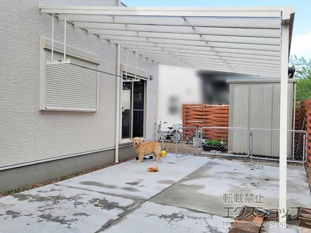 YKKAP�̃e���X���� �\�����A F�^ �r�b�O�T�C�Y �P�� �ϐ�`20cm�Ή� �{�H��