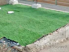 ���[�x�̐l�H�ŁE�Ő� �p�[�N�V�A �v���e�N�g �ŏ�35mm �{�H��