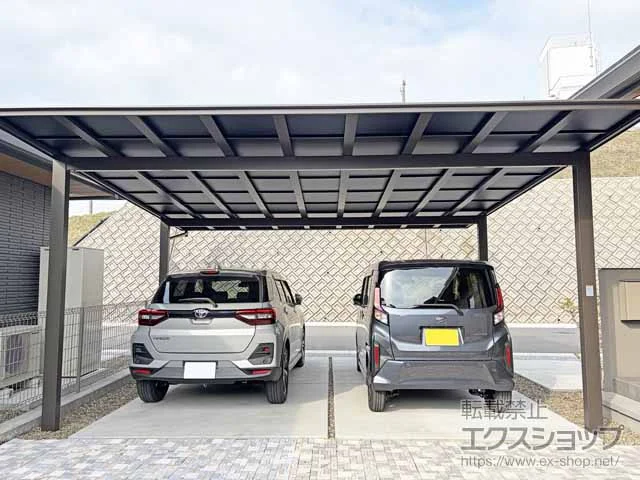 LIXIL(���N�V��)�̃J�[�|�[�g �l�X�J F 2��p(�t���b�g�X�^�C��) �ϐ�`20cm�Ή� �{�H��