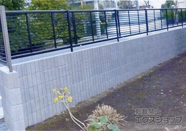 錧SYKKAP̃tFXEE GNXCtFX12^ {H