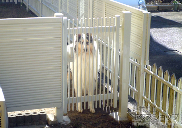 福島県いわき市のの門扉 ハイ千峰 片開き　柱使用 施工例