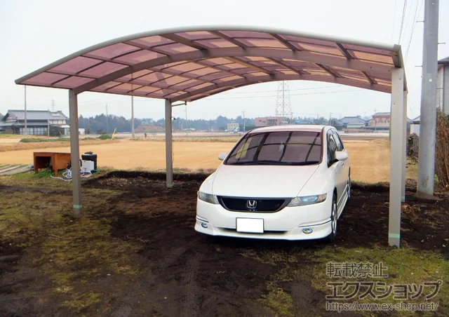 茨城県つくば市のYKKAPのカーポート レイナツインポート 積雪〜20cm対応 施工例