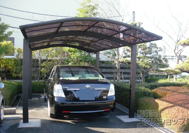 tssYKKAP̃J[|[g Ci|[g ϐ`20cmΉ {H