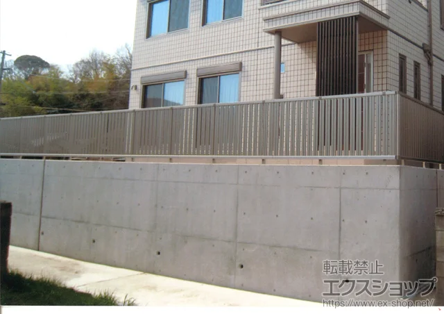 ROsYKKAP̃tFXEE GNXCtFX22^ R^Cv {H