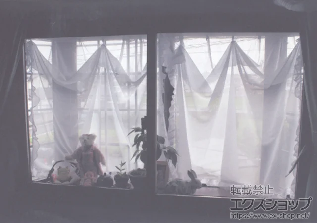 �Q�n������s�̂̓����i��d���E��d�T�b�V�j �C���v���X �_�X�g�o���A�d�l ���Ⴂ�� 2���� �{�H��