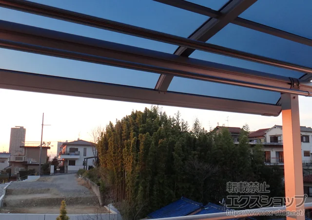 {QsYKKAP̃oRj[Ex_ FN^[eX R^ ^Cv P ϐ`20cmΉ {H