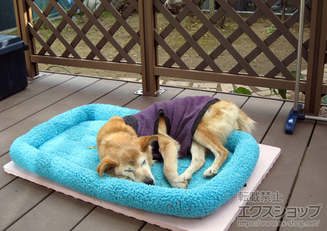 福島県いわき市のLIXIL リクシル（トステム）のウッドデッキ リコステージII 単体 +リコステージII ステップ2段用+リコステージII デッキフェンス 施工例