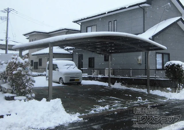 �{�錧�����S��������LIXIL ���N�V���i�g�X�e���j�̃J�[�|�[�g �J�[�u�|�[�g�V�O�}III ���C�h �ϐ�`20cm�Ή� �{�H��