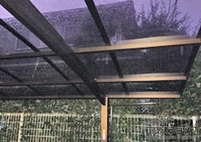 ��ʌ����S���R����YKKAP�̃J�[�|�[�g ���C�i�|�[�g�O�����@�ϐ�`20cm�Ή� �{�H��