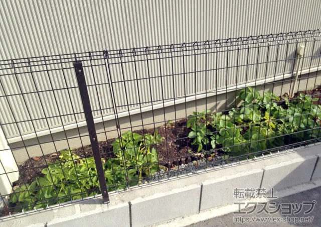 ���Ɍ���ˎs��YKKAP�̃t�F���X�E��E�� �C�[�l�b�g�t�F���X1F�^ ���R���^�C�v �{�H��