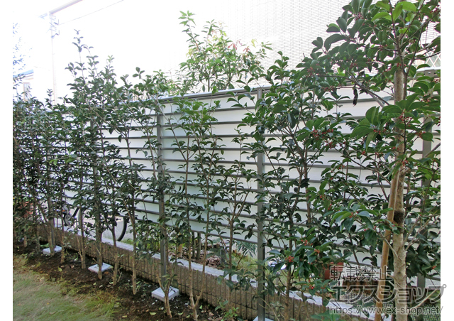 東京都練馬区ののフェンス・柵 サニーブリーズフェンスS型 施工例