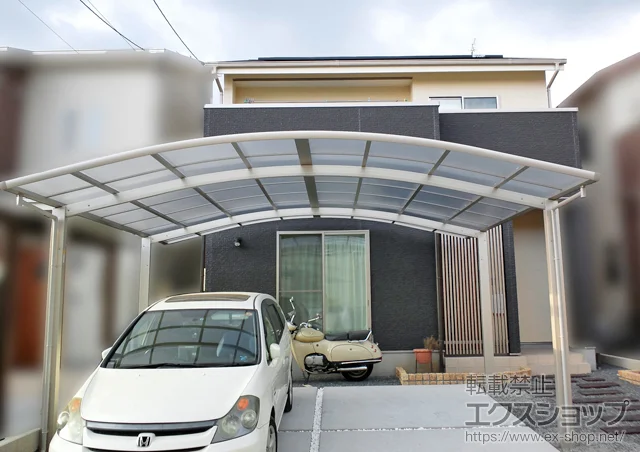 ÉÉsYKKAP̃J[|[g CicC|[gO@ϐ`20cmΉ {H