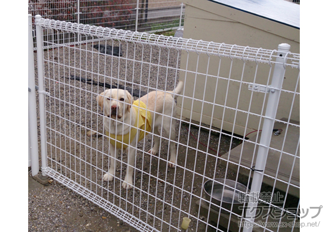 静岡県袋井市ののフェンス・柵 メッシュフェンスM0 間仕切りタイプ 施工例