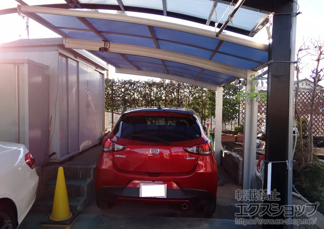 Ȗ،Ȗ؎sValue Select̃J[|[g vVIX|[g ϐ`20cmΉ {H