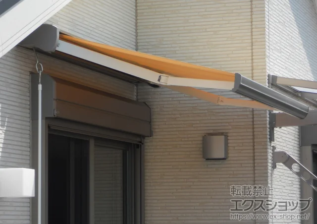 sk̂̃eXAI[jOETVF[hE悯 ʕC^ 蓮 {H