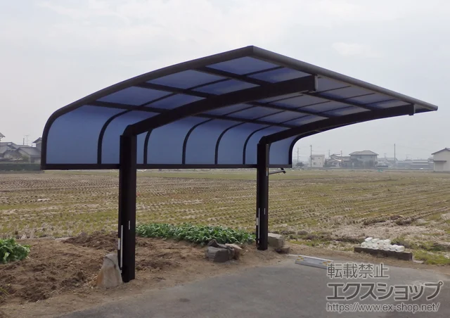 ���R���q�~�s��Value Select�̃J�[�|�[�g �v���V�I�X�|�[�g �A���t�@ �ϐ�`20cm�Ή�+�v���V�I�X�|�[�g�p ���E���⏕�� 2�{���� �{�H��