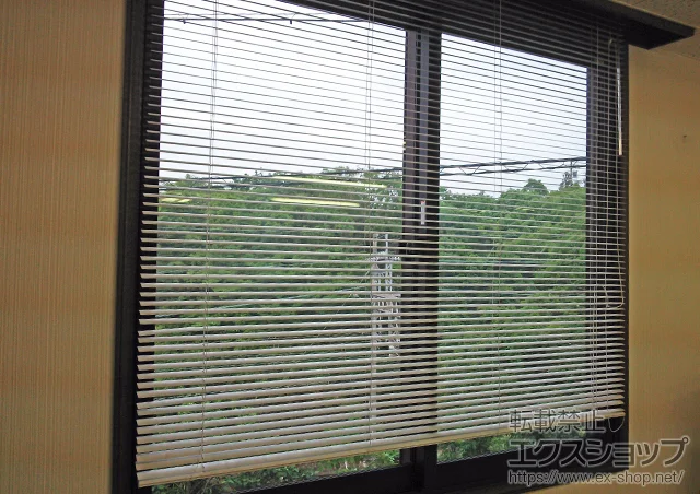 �O�d���u���s�̂̓����i��d���E��d�T�b�V�j �C���v���X(�_�X�g�o���A)�����Ⴂ��2������ �{�H��