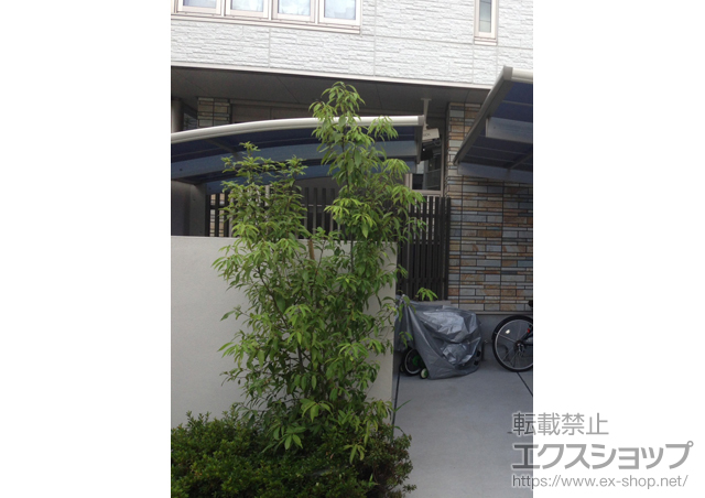 東京都江戸川区ののカーポート プレシオスポート 積雪〜20cm対応 施工例