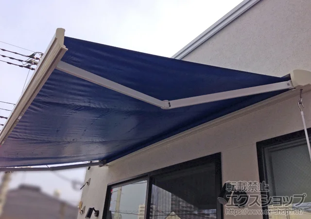 sqsLIXIL NVigXej̃I[jOETVF[hE悯 ʕC^ 蓮 {H