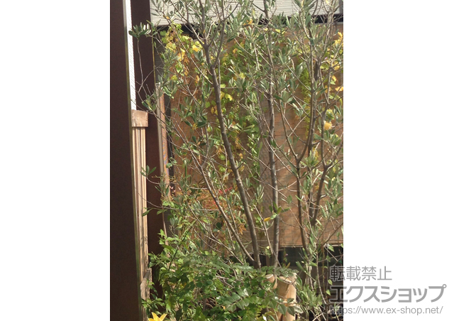 大阪府泉大津市ののオーニング・日よけ コンバイザー （ひさし） 施工例