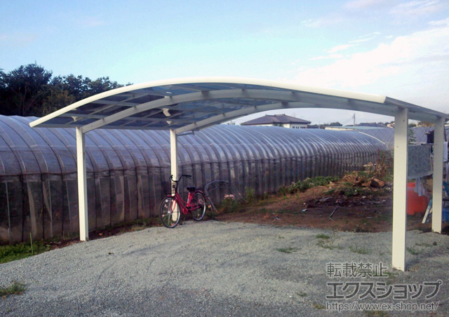 群馬県伊勢崎市ののカーポート レイナツインポートグラン　積雪〜20cm対応 施工例