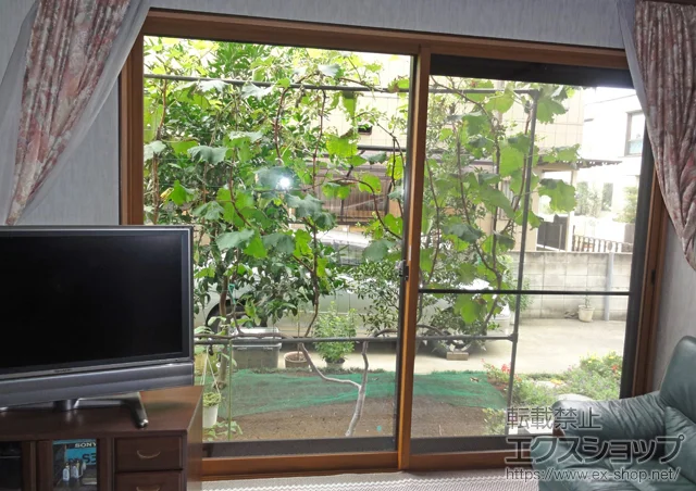 ��t���䑷�q�s�̂̓����i��d���E��d�T�b�V�j �C���v���X(�_�X�g�o���A)�����Ⴂ��2������ �{�H��