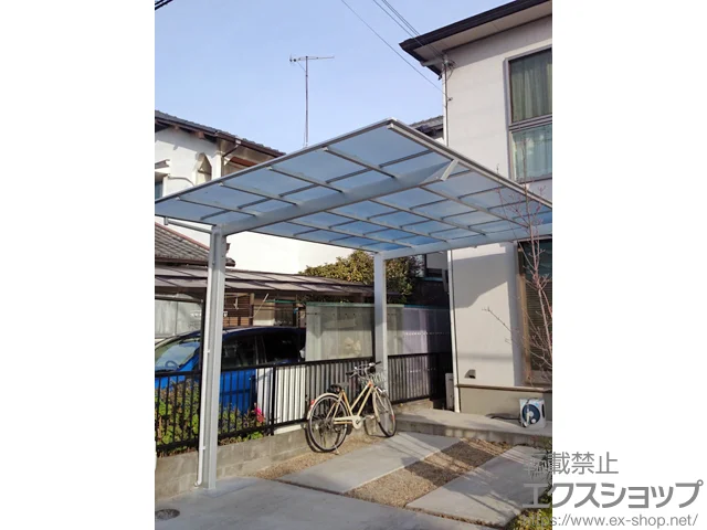 Ɍŝ̃tFXEEAJ[|[g lXJF (tbgX^C)@ϐ`20cmΉ {H