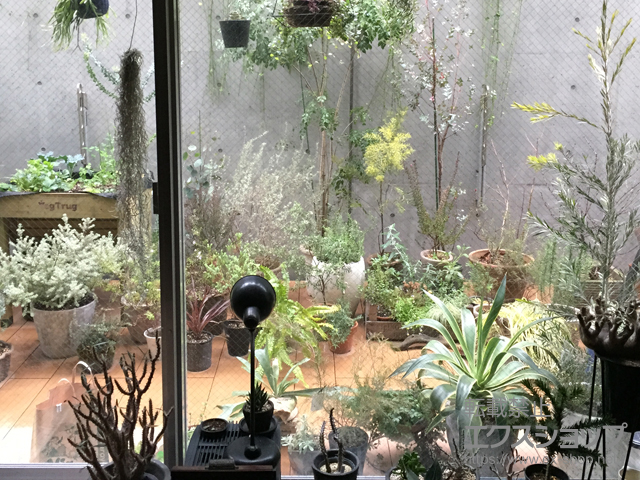 東京都国立市ののウッドデッキ バルコニー用 リウッドデッキ 200 施工例