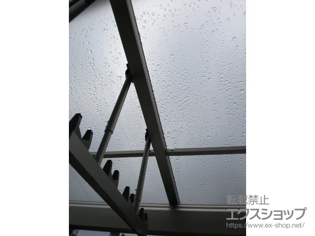 ɌɒOŝ̃J[|[gAoRj[Ex_ FN^[eX F^ ^Cv P ϐ`20cmΉ{݂艺 W 2{~1Zbg {H