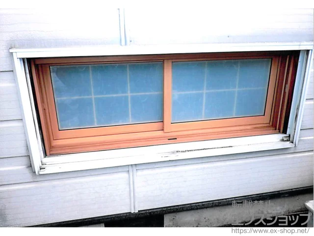 쌧㐅SMẐ̓idEdTbVj CvX _XgoAdl Ⴂ 2 {H